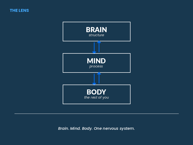 The Lens. Brain. Mind. Body.